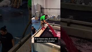 Por qué los vinicultores "riegan" su propio vino
