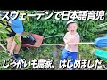 2歳児と家庭菜園チャレンジ！