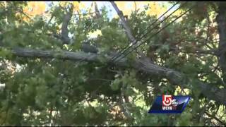 NWS: Microburst, not tornado, ripped apart Easthampton