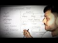 Gastrointestinal tract. https:MotiNursingknowledge#viralreels #shortvideo