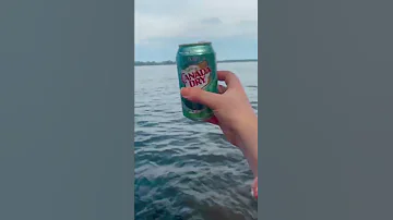 Canada Dry 