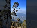 🏔️🌴Have you ever seen this wonderful scene of trees and mountains 😍❣️