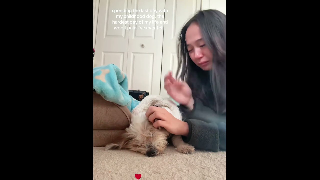 Please wait for me until we meet again, my dear🥹🥹🥹🐶