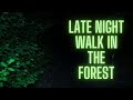 Late night walk in the forest. [How strong is my LED light against the dark?]