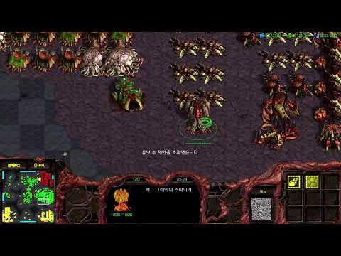 스타 빨무_스타크래프트 빠른무한_Starcraft 팀플 [팬다구] 라이브 생방송 진행_Live