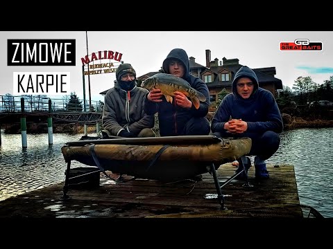 KARPIE ZIMOWĄ PORĄ/ŁOWISKO
