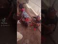أجرى يلا حكومة يلا 