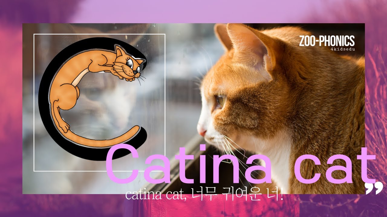  Catina Cat c YouTube