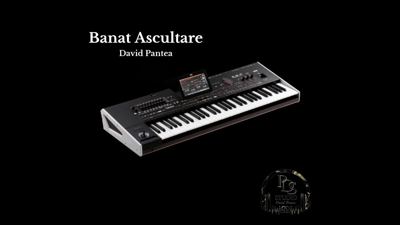 Ascultare Banat, instrumentala korg pa4x-David Pantea🎧