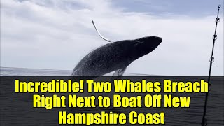 Incredible! Two Whales Breach Right Next to Boat Off New Hampshire Coast