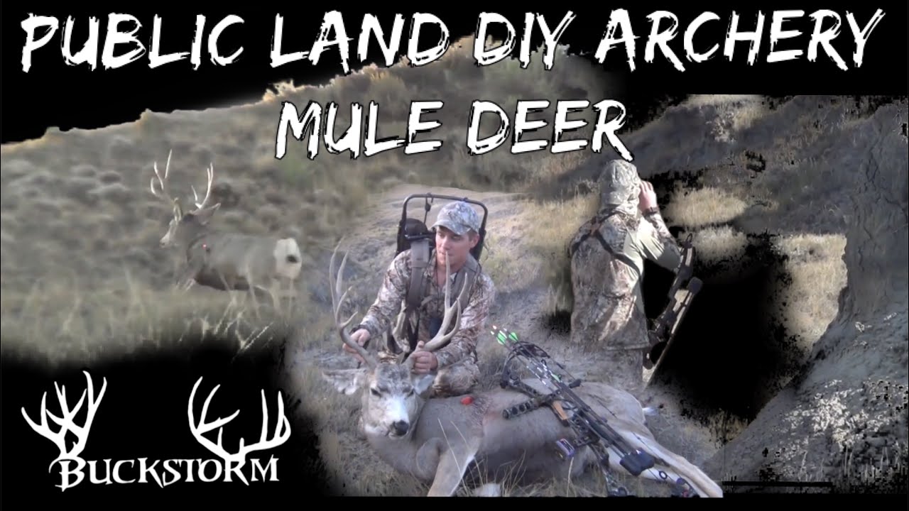 Public Land SD DIY Mule Deer Hunt YouTube