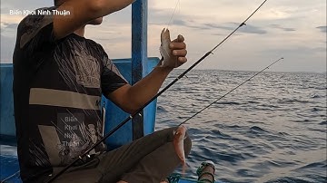 Câu Cá Biển - Mùa Nắng Vừa Gió Của Miền Đất Ninh Thuận