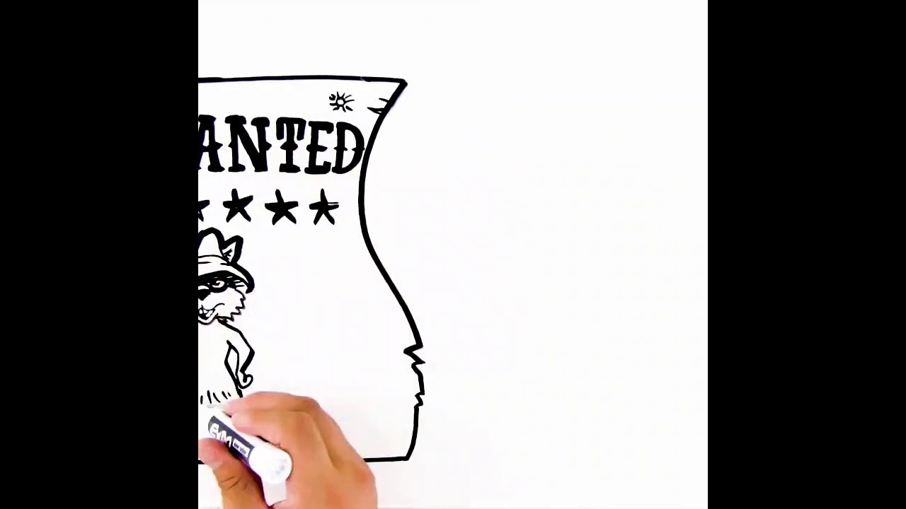 Attic Kings Animal Removal & Exclusion