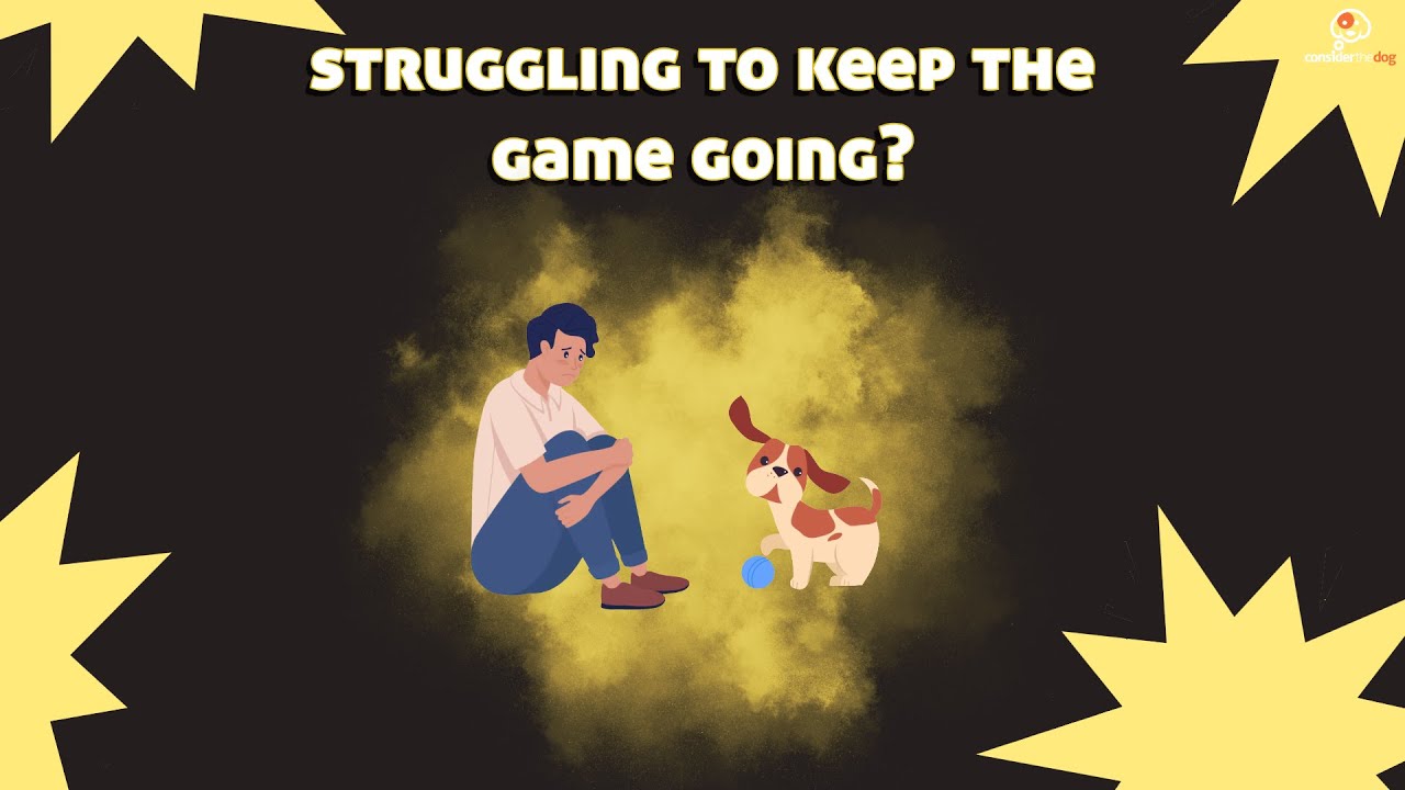 Заставьте свою собаку каждый раз ронять предметы!