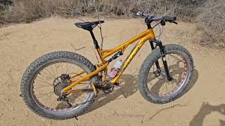 Celebrity 2015 Salsa Bucksaw Fatbike Wealth