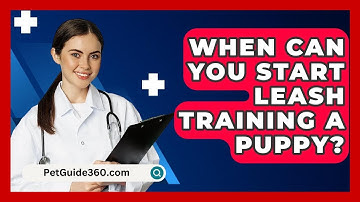 When Can You Start Leash Training A Puppy? - PetGuide360.com