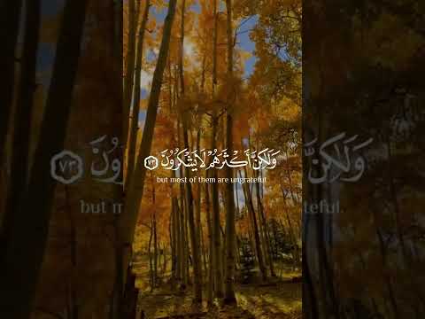 وإن ربك لذو فضل على الناس ولكن أكثرهم لا يشكرون سورة النمل القارئ سعد الغامدي Quran Islam