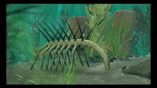 Just how complex were the animals found in the Burgess Shale? screenshot 5