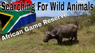 Exploring South Africa | Hluhluwe Game Reserve Part 1 | Search For The Big 5