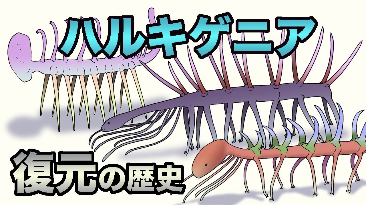 100 years of history of Hallucigenia restoration, marred by