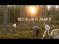 Herbstbeginn in Schweden | ein bittersüßer Abschied