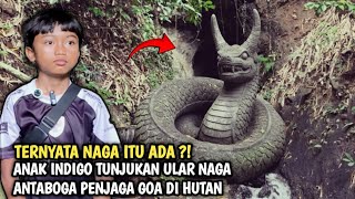 ANAK INDIGO TUNJUKAN ULAR NAGA ANTABOGA MILIKNYA ANGLING DHARMA PENJAGA GOA MISTERIUS DITENGAH HUTAN