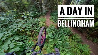 Un Dia En Bellingham Con Aviones Y Bicis