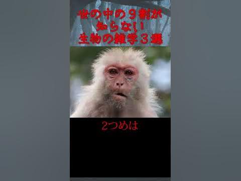 ショート動画サンプル　相島圭太