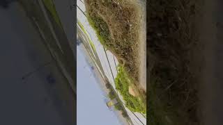 Journey to the sacred place...🤲 #journey #youtubevideo #ytviral #shorts #viralshorts #youtubenextup
