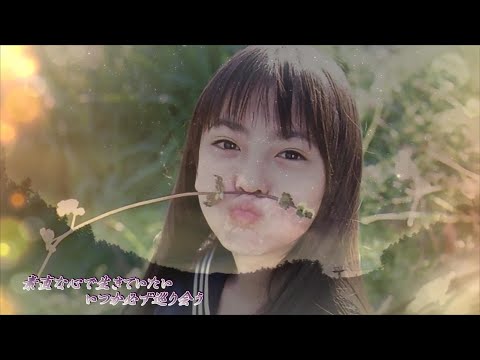 たなばた／村下孝蔵・LIVE音源フォトムービー