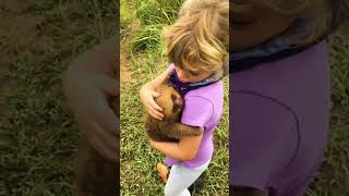 Toddler Cuddles Baby Sloth