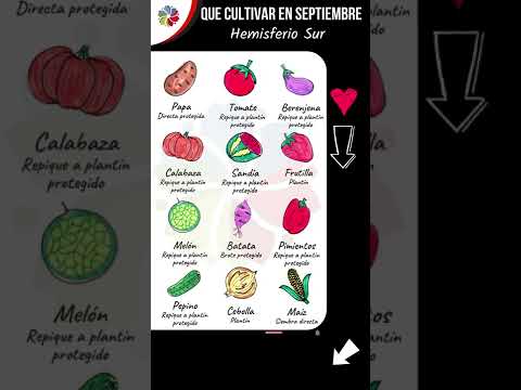 🌱 Que SEMBRAR