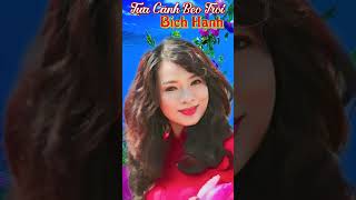 Tựa Cánh Bèo Trôi Câu 1. Bích Hạnh