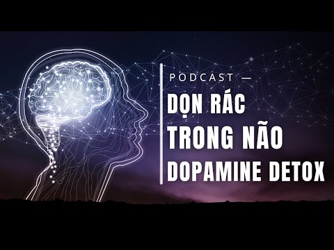 Dopamine Detox | Clean Up the Junk in Your Brain