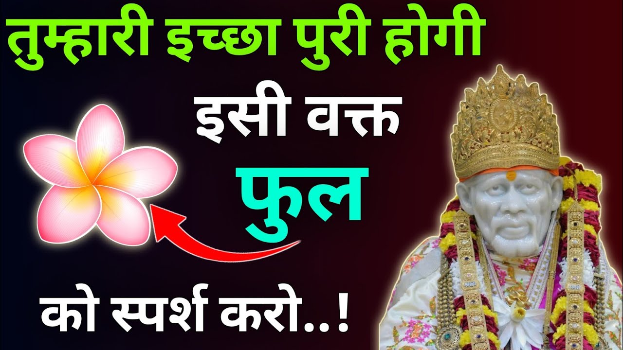 तुम्हारी इच्छा ✨ पूर्ण होगी इसी वक्त फुल 💮 को स्पर्श करो |Sai Updesh |Sai Vani  |Sai vichar|Sai Gyan