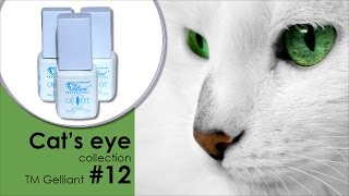 Трехфазный гель лак Кошачий глаз Cat's eye collection GELLIANT 5мл #012 Оникс Трехфазный гель лак Кошачий глаз Cat's eye collection GELLIANT 5мл #012 Оникс