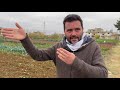 Buzuruna Juzuruna: &quot;Our Grains, Our Roots&quot;. The Story of a Land, Protection of a Heritage, Bekaa