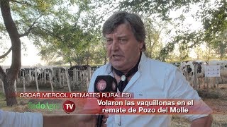 La vaquillona recupera su valor histórico de 5000 litros de leche