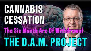 35 Years Addicted to Weed | Here's How the Brain Heals