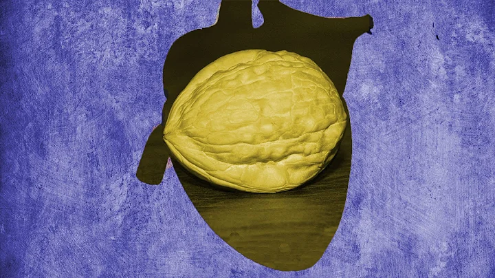 The Size of a Walnut: Your Heart in their Hands - ...