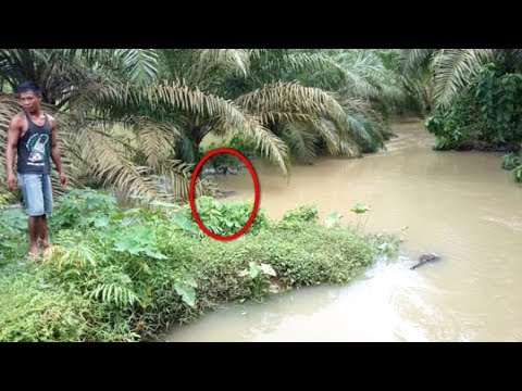 Thumbnail for NEKAT !! Pria ini Coba Bersiul Di Sungai Kalimantan, Tiba² Dari Sungai Muncul Sosok Makhluk Besar!