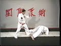 Juko ryu jujutsu  official syllabus  jujitsu international by  richard morris