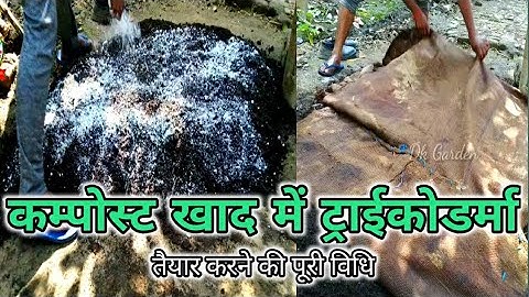 गोबर की खाद में ट्राईकोडर्मा मिला कर कैसे तैयार करें।  How to prepare Trichoderma by adding compost.