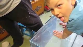 видео: Ремонт аквариума, потекло дно. картинка: Ремонт аквариума, потекло дно.