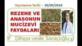 REZENE VE ANASONUN MUCİZEVİ FAYDALARI ~ Şifaya vesile Saraçoğlu Resimi