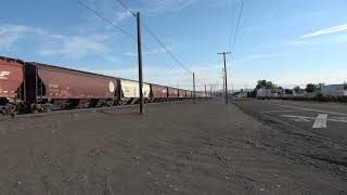EB Empty Grain