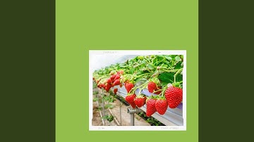 Vibrant Moods for Rejuvenating Winter Air