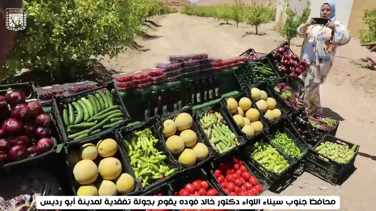 جولة محافظ جنوب سيناء بمدينة ابورديس