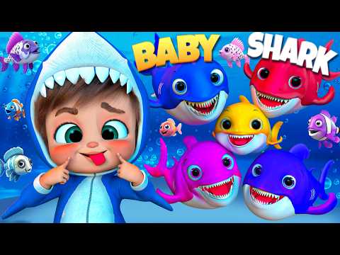 Baby Shark's Ocean Adventure - Nursery Rhymes & Kids Songs | Super Luca #babyshark #bingodog