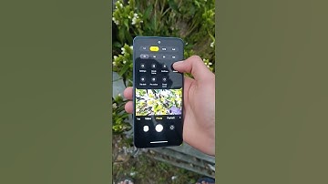 Redmi note 11 macro camera test || Amazing result #shorts